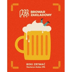 Browar Zakładowy Boki zrywać 500ml - Funky Fluid