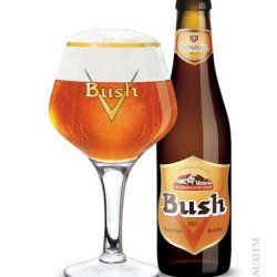 BUSH Caractere Ambrée 12,0% 33 cl - Trappist.dk - Skjold Burne