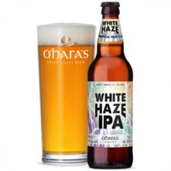 O’hara White Haze IPA  Irlandia - Sklep Impuls