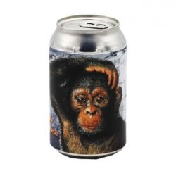 Goede Kant van het Spoor Monday Chimpanzee