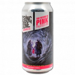 Stepping Stone Brewing Company The Future Is Pink Stepping Stone Brewing Company The Future Is Pink