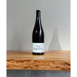 Meta Edabeak Ficus Magnifius