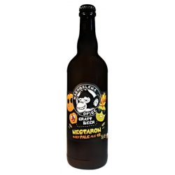 Nachmelená Opice Nectaron Hazy Pale Ale 13 Nachmelená Opice Nectaron Hazy Pale Ale 13