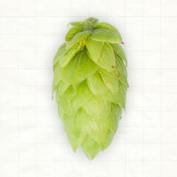 Deutschland Hallertauer Tradition Pellets Typ 45 - Hopsteiner