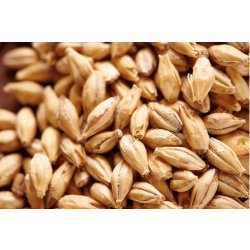 Weyermann Carapils - 1Kg - BrewCraft