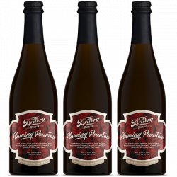 The Bruery Flaming Fountain 3-Pack - 5% Off - The Bruery