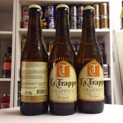 La Trappe - Tripel 8.0% Belgain Tripel - Bottles and Books