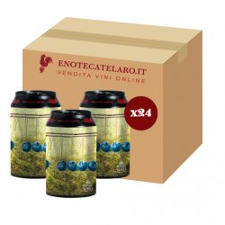 Pühaste Brewery Momentum