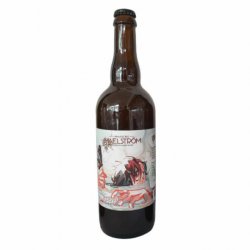 Maelström Morpho double NEIPA 75 cl - RB-and-Beer