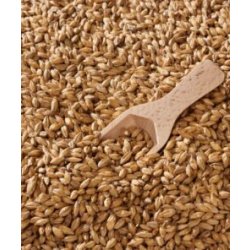 Malta Swaen Ale x 25 Kg - The Craft Drinks Lab