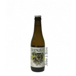 Lupulus Triple 33cl - Arbre A Biere