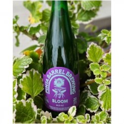 PINTA Barrel Brewing Bloom