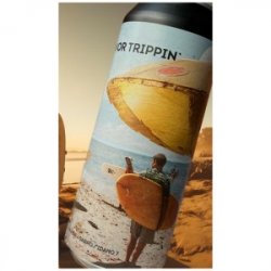 MOCZYBRODA FLAVOR TRIPPIN  IPA - Sklep Impuls