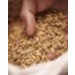 Weyermann® Bohemian Pilsner Malt  Worcester Hop Shop 