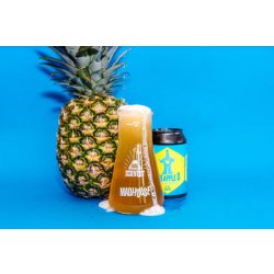 Mad Scientist Pineapple O - Beer Clan Singapore