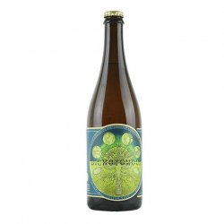 Jester King Brewery Vernal Dichotomous With Grilled Lemons & Paprika