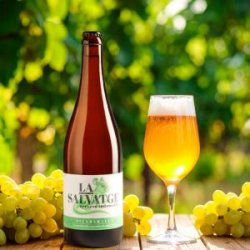 La Salvatge Picabaralles