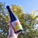 Cloudwater x Olivers Idaho 7 & Rose 