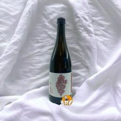 Rhubarbe (Saison Sour) - BAF - Bière Artisanale Française