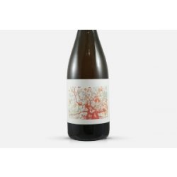 Popihn Sauvages Mirabelle (2024) - Beyond Beer