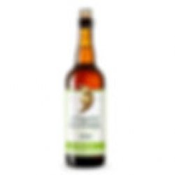 Straffe Hendrik Wild 2024  75 cl - Gastro-Beer