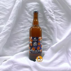 Noces de Bois (Saison Barriquée) - BAF - Bière Artisanale Française