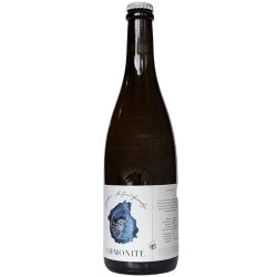 Ammonite Symphonie Solera V Wild Ale 750ml (5%) - Indiebeer