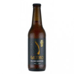 Cerveza Gastro IPA Dry Hopping - Vinotelia