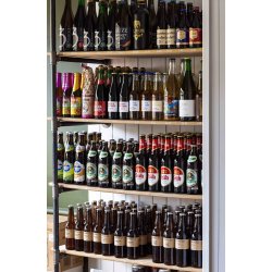 The Brew Need - Subscription - Ale - New Breed Bottle Shop