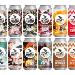 Lough Gill Build Your Own 24-Pack – Mix & Match - Lough Gill Brewery