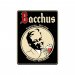 Bacchus, Kriek (Cherry), Fruit Beer, 5.8%, 375ml 
