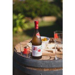 Sagardoa Vin de pomme BIO KUPELA 75cl - x3 - Edari Drinks