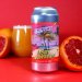 Neon Raptor Brewing Co - Fort Lauderdale Blood Orange - Sour Neon Raptor Brewing Co - Fort Lauderdale Blood Orange - Sour