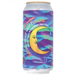 Elmeleven Remember Our Future (PULP)