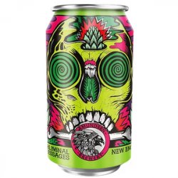 Amundsen Hopbliminal Messages