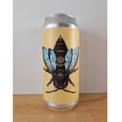 Bad Seed Brewing  Fuzz Buzz - Øl Biksen