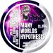 Bang the Elephant  Good Name - Many Worlds Hypothesis - 11.7% Sherry BA Chocolate, Caramel, Pecan Imperial Stout - 440ml Can 