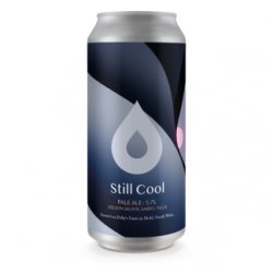 Polly’s Still Cool  Pale Ale 5.7% - Polly’s Brew Co.