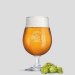 Birrificio Angelo Poretti 23 Pint Goblet Glasses 