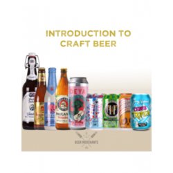 Introduction to Craft Beer Mixed Case - Beer Merchants
