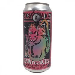 Cervesa Espiga & To Øl  Staticcats 44cl - Beermacia