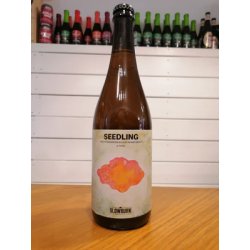 Slowburn Brewing Co-op Seedling