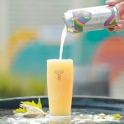 Track x Messorem  Set To Sail [8% DIPA] - Red Elephant