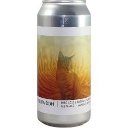 Popihn NEIPA DDH HBC 1019 / SABRO / SORACHI ACE / VANILLA BEANS