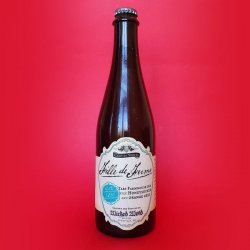 Wicked Weed - Fille De Ferme Farmhouse Sour - The Triangle