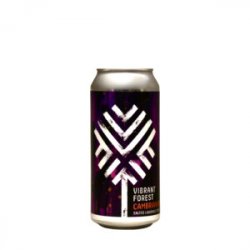 Vibrant Forest  Cambrian Root Salted Liquorice Stout - Craft Metropolis