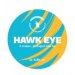 Wimbledon Brewery Hawk Eye (Keg) 