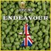 Endeavour (pellet) 