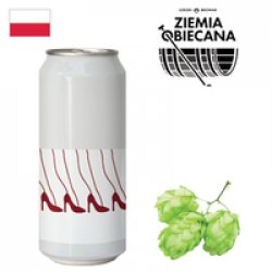 Ziemia Obiecana Kabaret 500ml CAN - Drink Online - Drink Shop