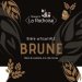 Brasserie La Rochoise Brune 